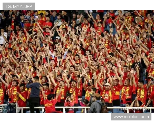 辽宁足球名将崛起之路探秘：从青训到职业生涯的辉煌历程